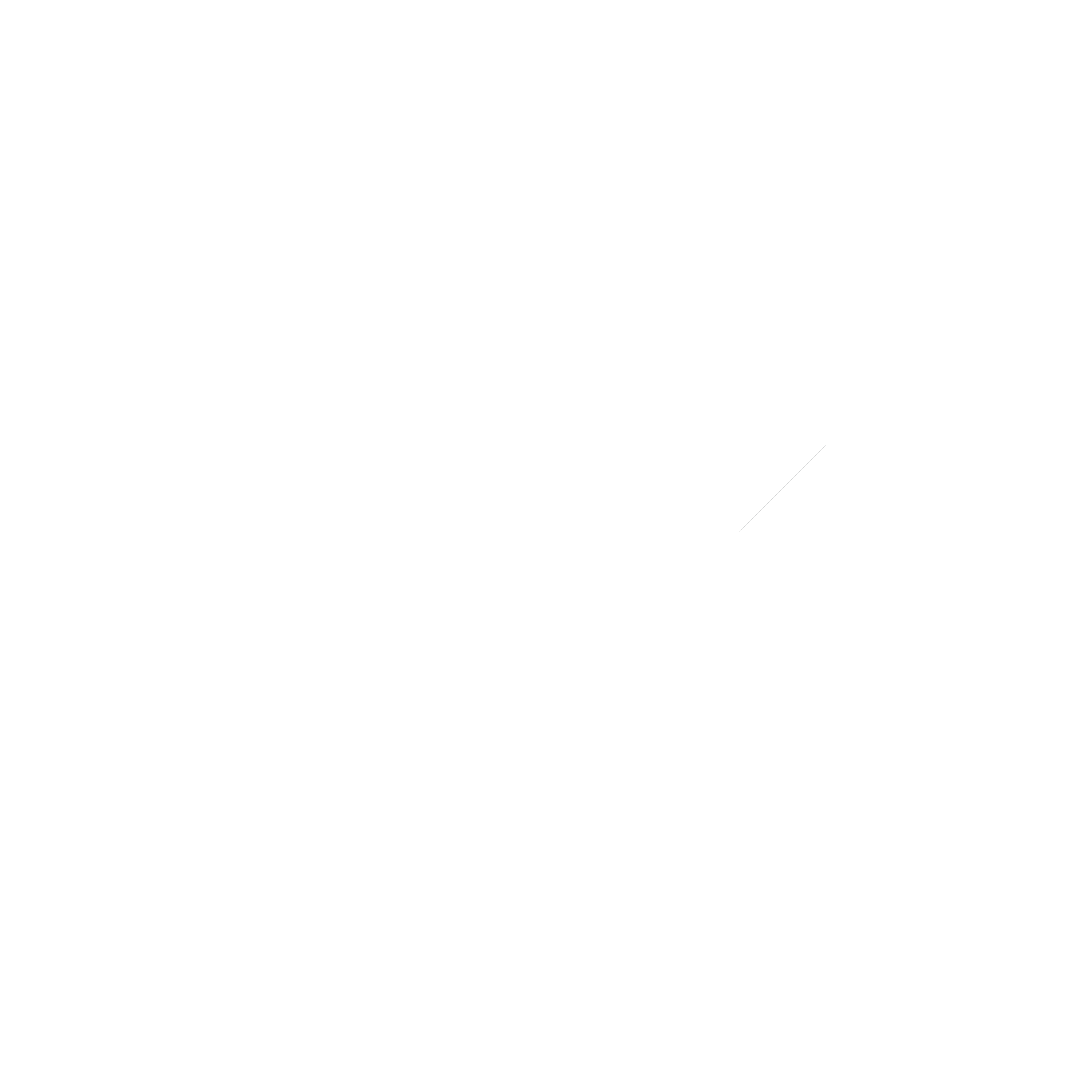 logo_deerivee_white